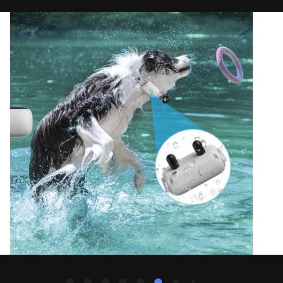 PAT PET REMOTE TRAINING COLLAR - GRAY - Picture 5 of 8